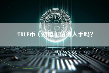 TRUE币（初链）值得入手吗？