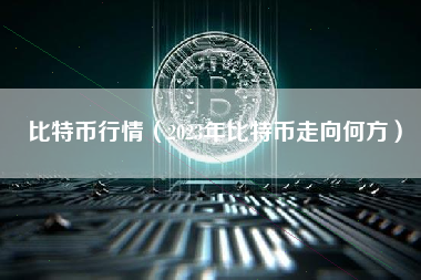 比特币行情（2023年比特币走向何方）