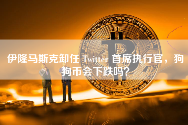 伊隆马斯克卸任 Twitter 首席执行官，狗狗币会下跌吗？