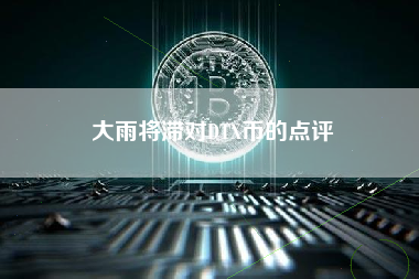 大雨将滞对DTX币的点评
