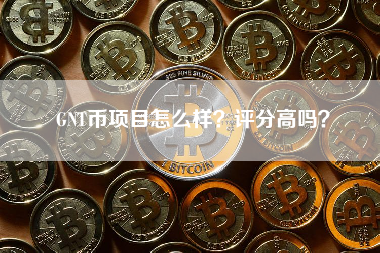 GNT币项目怎么样？评分高吗？
