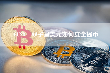 GUSD 双子星美元如何安全提币