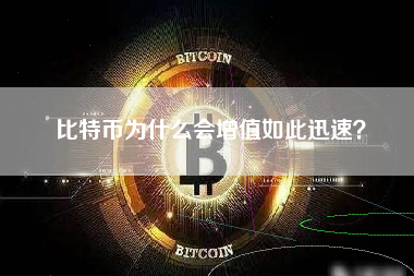 比特币为什么会增值如此迅速？
