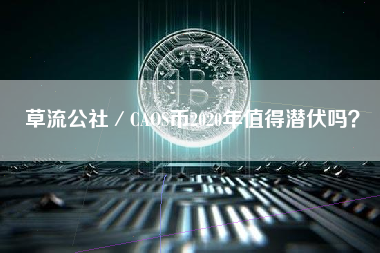 草流公社／CAOS币2020年值得潜伏吗？