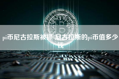 pi币尼古拉斯被抓 尼古拉斯的pi币值多少钱