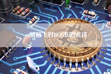 cs胡丽飞对BCE币的点评