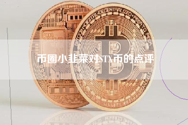 币圈小韭菜对STX币的点评