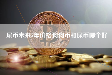 屎币未来5年价格狗狗币和屎币哪个好