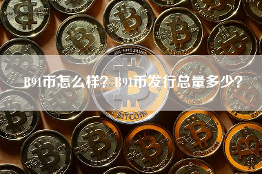 B91币怎么样？B91币发行总量多少？ 火币公告