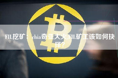 FIL挖矿：chia奇亚大火,FIL矿工该如何抉择？