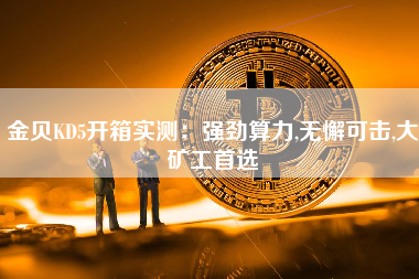 金贝KD5开箱实测：强劲算力,无懈可击,大矿工首选