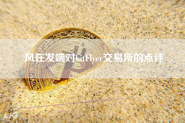 风在发端对bitFlyer交易所的点评