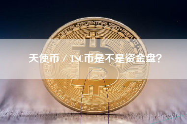 天使币／TSC币是不是资金盘？