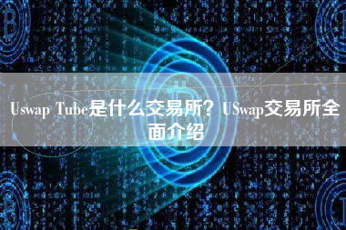 Uswap Tube是什么交易所？USwap交易所全面介绍