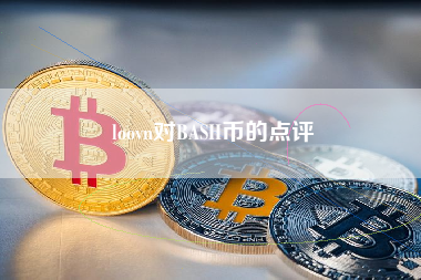 loovn对BASH币的点评