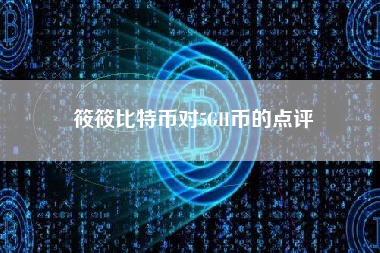 筱筱比特币对5GH币的点评