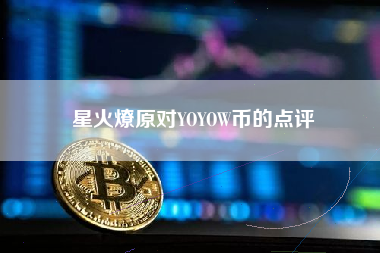 星火燎原对YOYOW币的点评