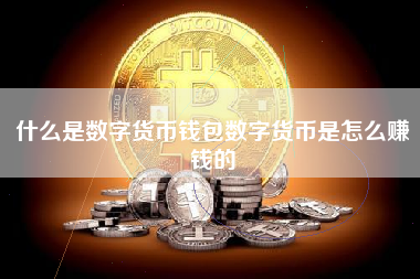 什么是数字货币钱包数字货币是怎么赚钱的
