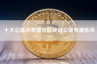 十大公链币有哪些区块链公链有哪些币