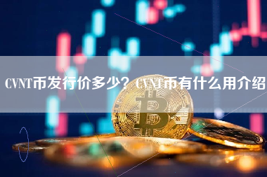 CVNT币发行价多少？CVNT币有什么用介绍