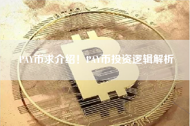 PAY币求介绍！PAY币投资逻辑解析