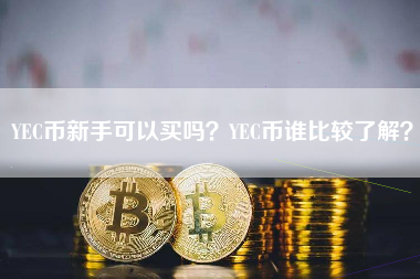 YEC币新手可以买吗？YEC币谁比较了解？