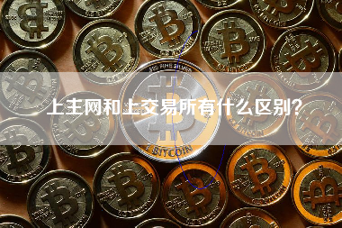 上主网和上交易所有什么区别？