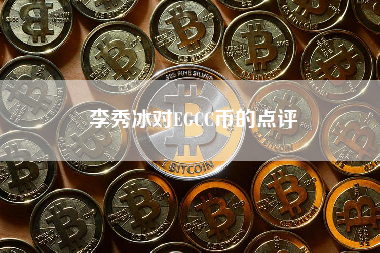 李秀冰对EGCC币的点评