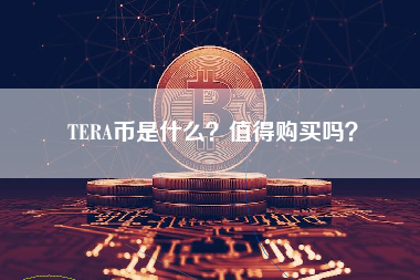 TERA币是什么？值得购买吗？