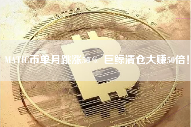 MATIC币单月跳涨50％ 巨鲸清仓大赚50倍！