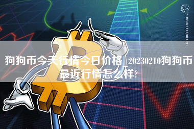 狗狗币今天行情今日价格_20230210狗狗币最近行情怎么样?