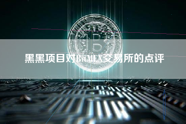 黑黑项目对BitMEX交易所的点评