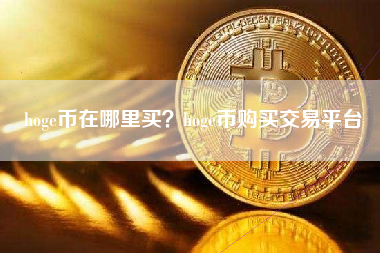 hoge币在哪里买？hoge币购买交易平台