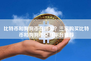 比特币和狗狗币在哪买？三家购买比特币和狗狗币交易平台推荐