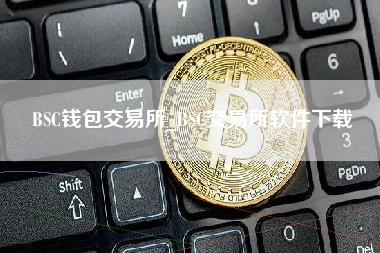 BSC钱包交易所_BSC交易所软件下载