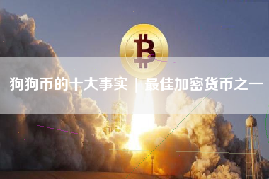 狗狗币的十大事实 | 最佳加密货币之一