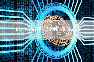 BUSD没赚钱、没用BNB Chain？