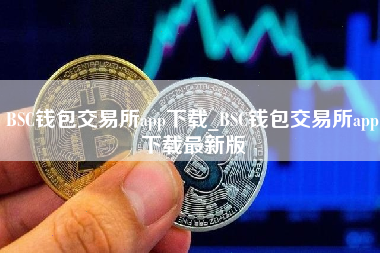 BSC钱包交易所app下载_BSC钱包交易所app下载最新版