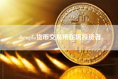 shengda货币交易所在坑投资者