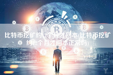 比特币挖矿约12个月才回本(比特币挖矿约12个月才回本正常吗)