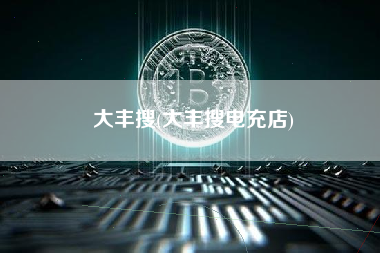 大丰搜(大丰搜电充店)