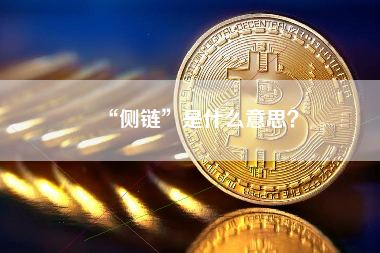 “侧链”是什么意思？