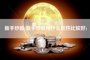 新手炒股(新手炒股用什么软件比较好)
