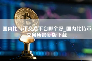 国内比特币交易平台哪个好_国内比特币交易所最新版下载