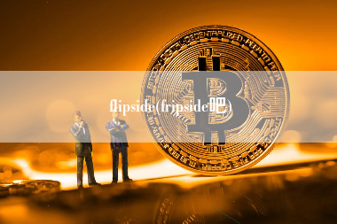 flipside(fripside吧)
