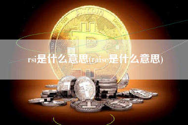 rsi是什么意思(raise是什么意思)