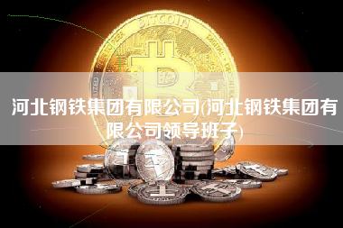 河北钢铁集团有限公司(河北钢铁集团有限公司领导班子)