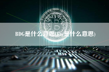 BDG是什么意思(bag是什么意思)