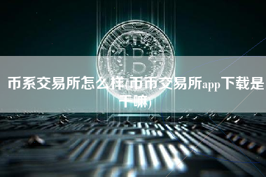 币系交易所怎么样(币币交易所app下载是干嘛)