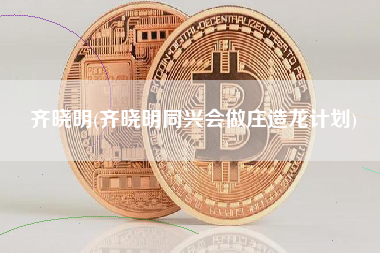 齐晓明(齐晓明同兴会做庄造龙计划)